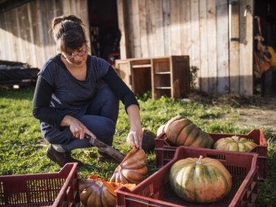 ensemble pour le mécénat de projet ecologique et sociaux